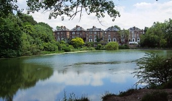 <p>Hampstead Heath Ponds - <a href='/triptoids/the-hampstead-head'>Click here for more information</a></p>